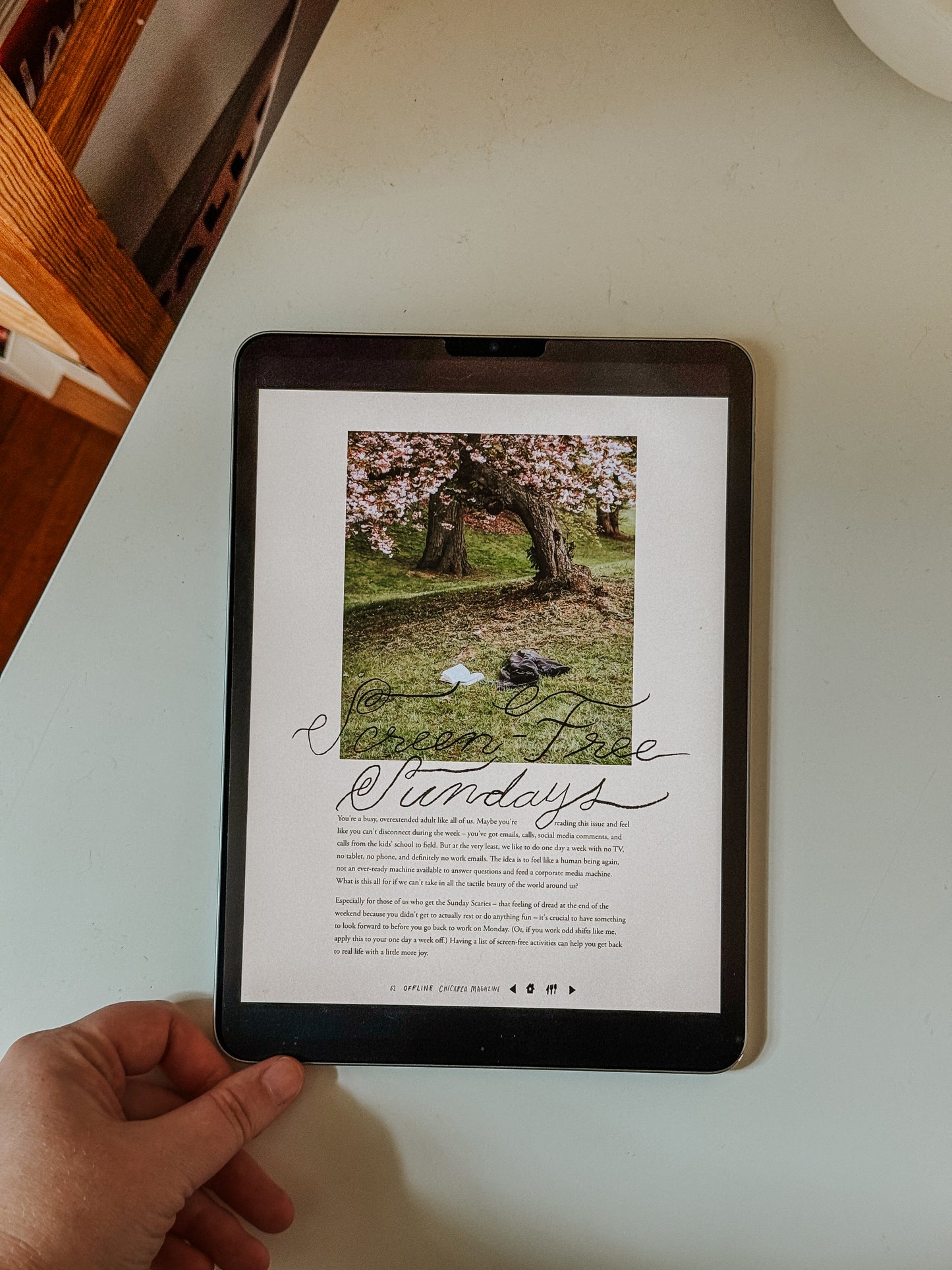 Issue 40: Offline