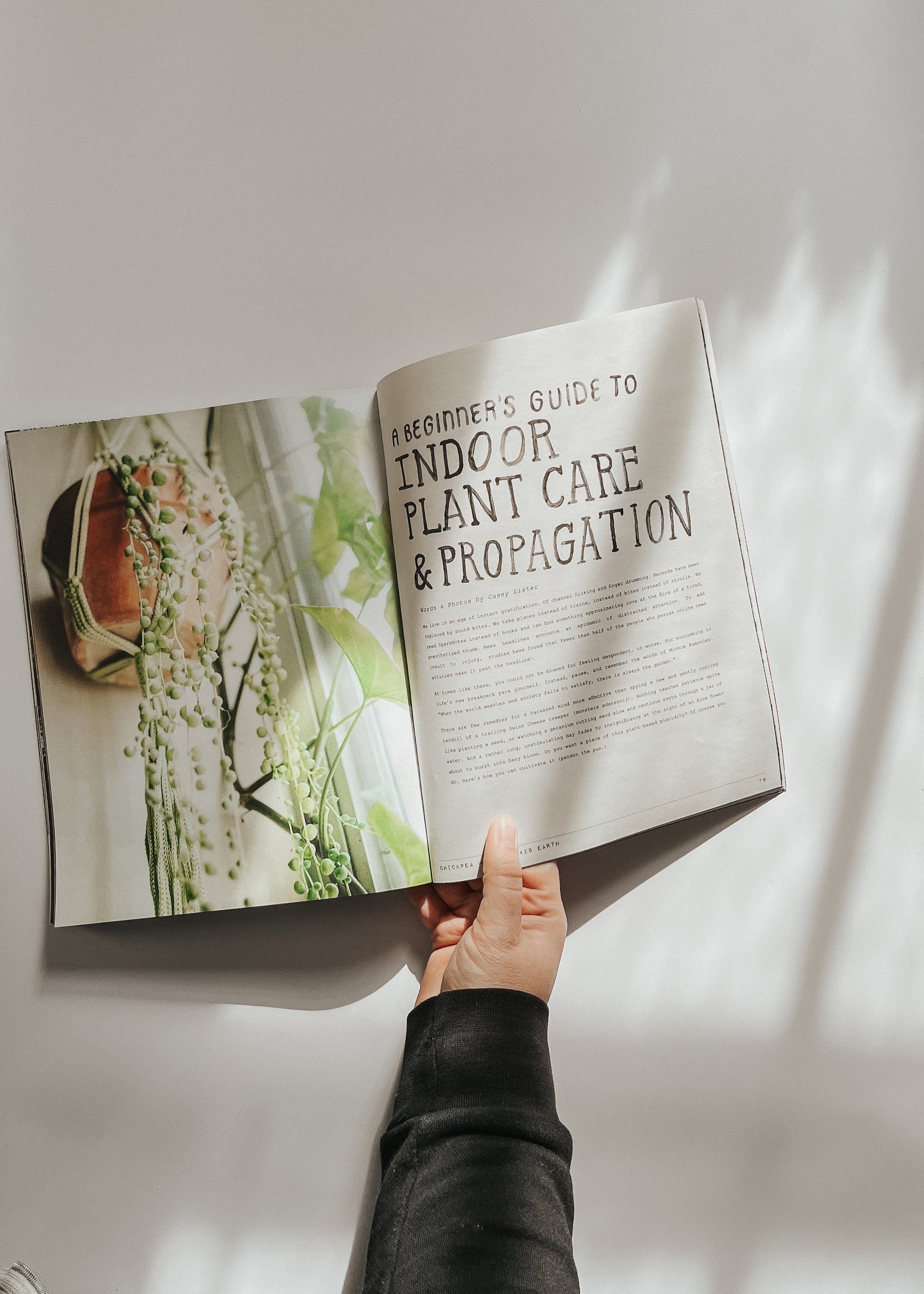 indoor plant magazine Issue 28: Earth – chickpea magazine